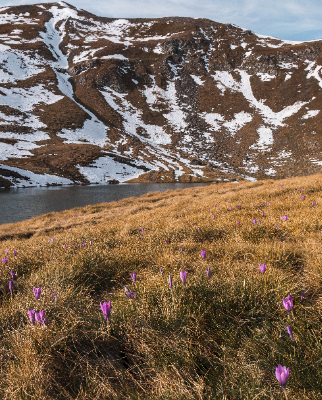 Col de Tentes