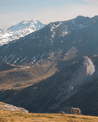Col de Tentes