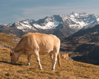 Col de Tentes