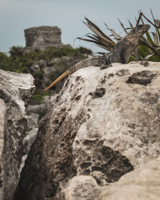Tulum