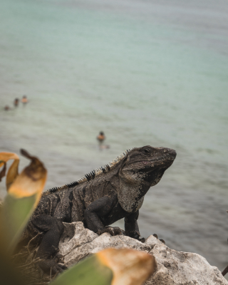 Tulum