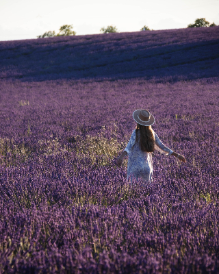 Valensole