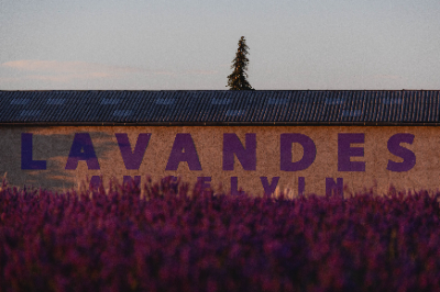 Valensole