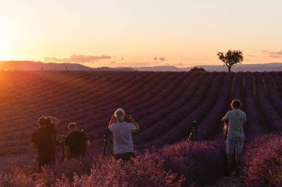 Valensole
