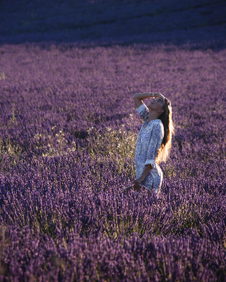 Valensole