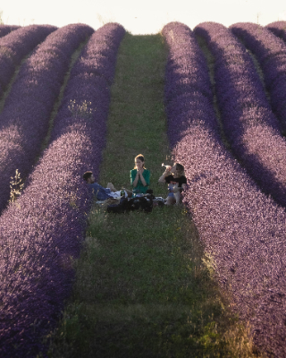 Valensole