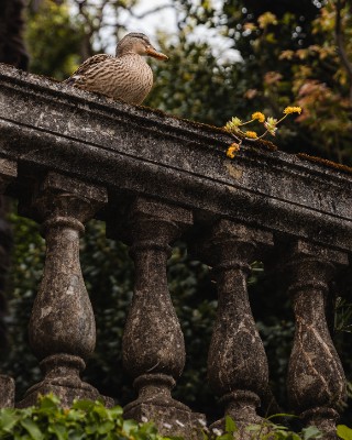 Varenna