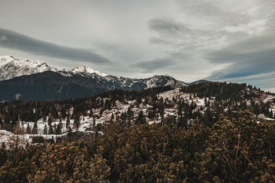 Velika Planina