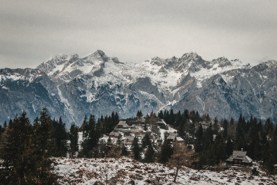 Velika Planina