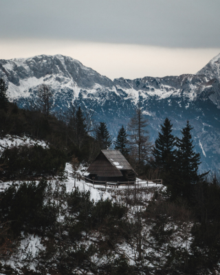 Velika Planina