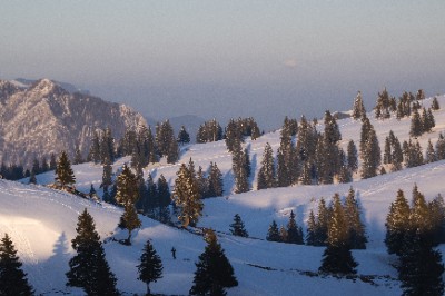 Velika Planina