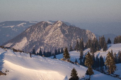 Velika Planina
