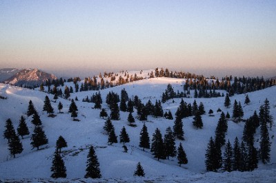 Velika Planina