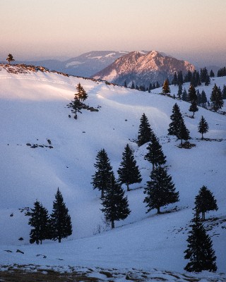 Velika Planina