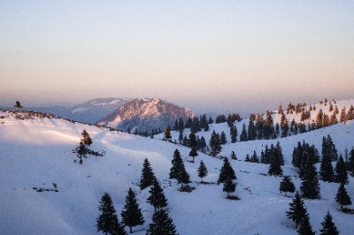 Velika Planina