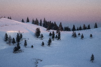 Velika Planina