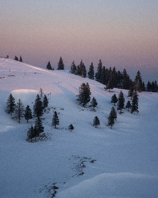 Velika Planina