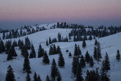 Velika Planina