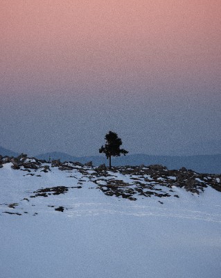 Velika Planina