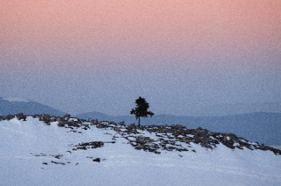 Velika Planina