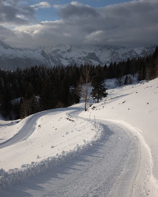 Velika Planina