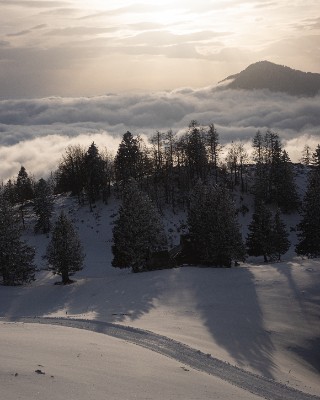 Velika Planina