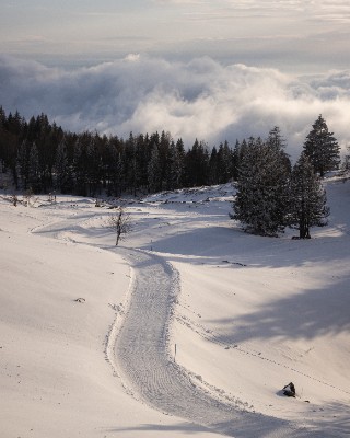 Velika Planina