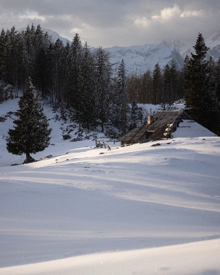 Velika Planina