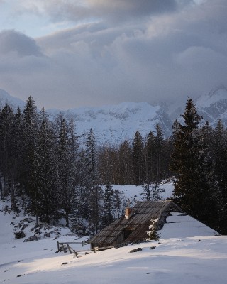 Velika Planina