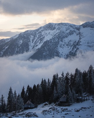 Velika Planina