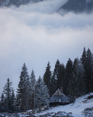 Velika Planina