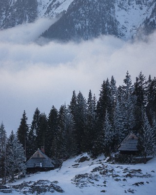 Velika Planina