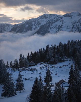 Velika Planina