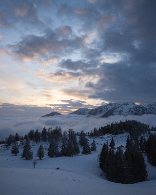 Velika Planina