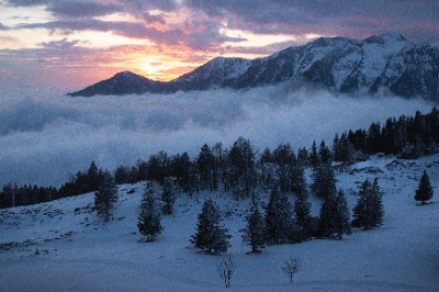 Velika Planina