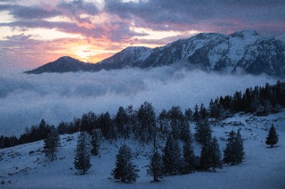 Velika Planina