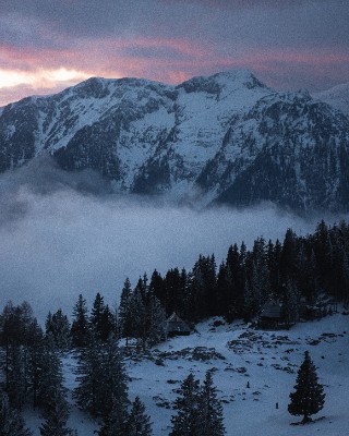 Velika Planina