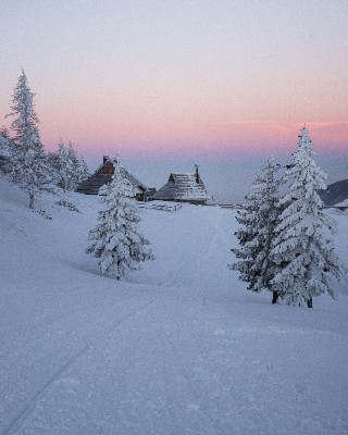 Velika Planina