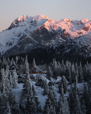 Velika Planina