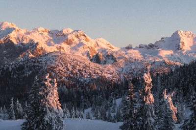 Velika Planina