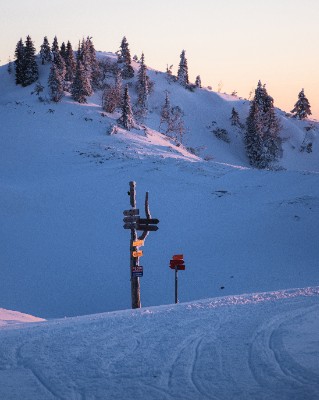 Velika Planina