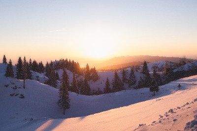 Velika Planina