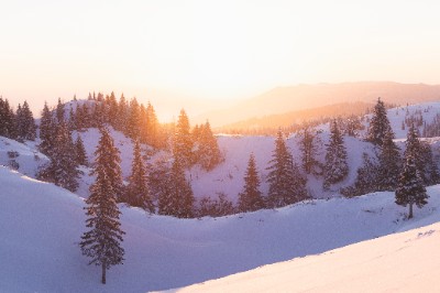 Velika Planina