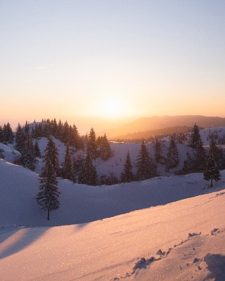 Velika Planina