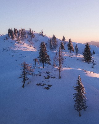Velika Planina
