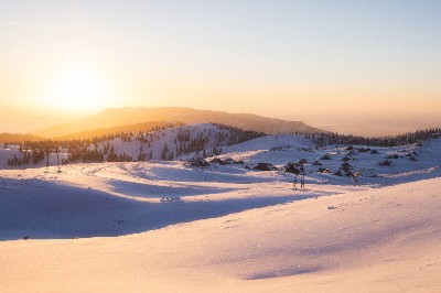 Velika Planina