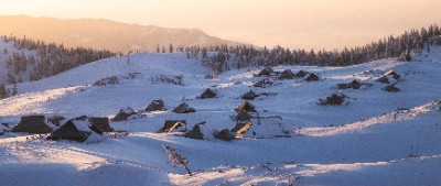 Velika Planina