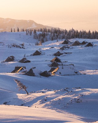 Velika Planina