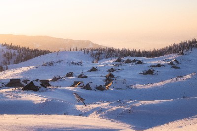 Velika Planina