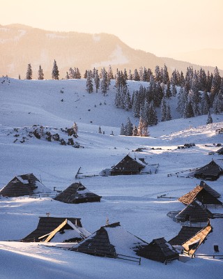 Velika Planina